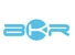 Shenzhen Baikerui Industrial Co., Ltd. logo