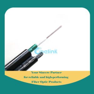 Factory Price High Quality Gyxtc8s Outdoor Armored Optical Fiber Cable