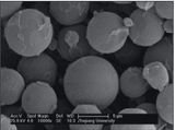 Acrysphere® St Micron Beads