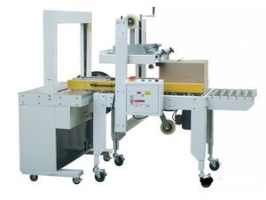 Best Automatic PP Tape Carton/Case /Box Strapper/Strap/Strapping Machine