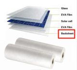 0.3mm White Pet/Tpt Solar Module Backsheet