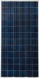 275W Poly Solar Module