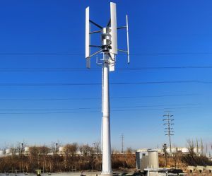 Vertical Wind Turbine 2kw 3kw 5kw 10kw 220V Wind Turbine Generator