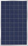 Solar Module