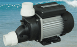 Black Magic Electric Motor (SPA Pump)