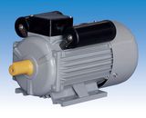 Electric Motor (YCL Series)