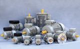 Electric Motors (MS Series)