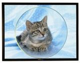 Frame Projection Screen