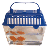 Fish Tank
