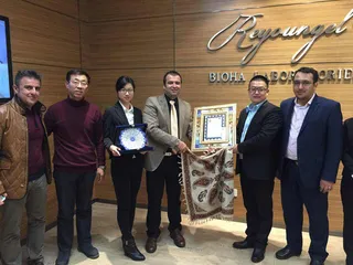 Shanghai Ruizhi Biological Technology Company Limited Cross-linked Hyaluronic Acid