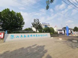 ct9iipop7jrc73e39t6g.webp