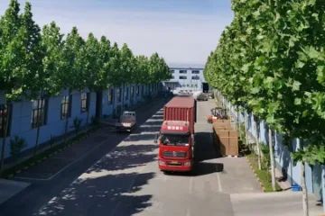 ct9ijh9gv6tc73bchgdg.webp