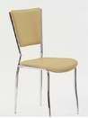 Dining Chair (X-030)