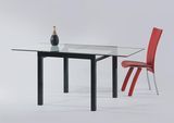 Dining Table (DT3029)
