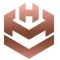 Company icon