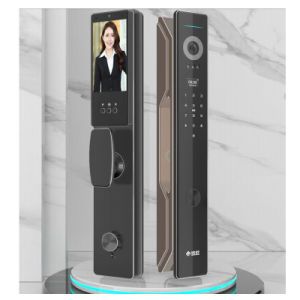 5 Inch Display Screen Double Camera 3D Face Smart Lock