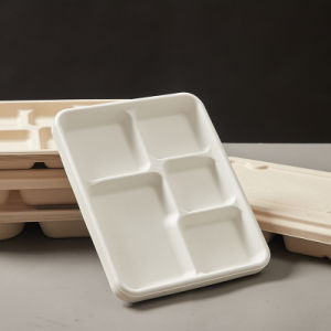 OEM Spaghetti Disposable Lunch Box 2 3 4 5 Compartment Tray Takeaway Bagasse Takeout Fast Lunch Box Take out Food Containers Pulp Lunch Box