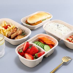 Takeaway Lunch Box Sugarcane Bagasse Biodegradable Food Container with Lid