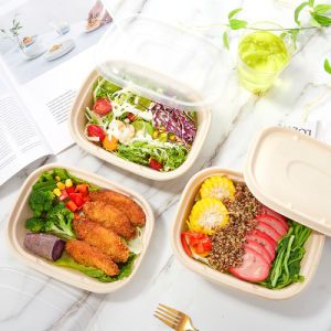 Free Shipping Samples in Biodegradable Disposable Food Containers with a Friendly Price