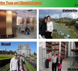 ct9j8ngp7jrc73e3mb6g.webp