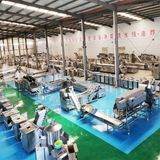 Frozen French Fries Production Line Customizable 200-5000 Kg/H Fried French Fries Processing Equipment Small Scale Frozen Potato Chip Production Line