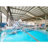 Gnocchi Processing Machine Noodle Processing Equipment