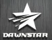Shenyang Dawnstar Import and Export Trading Co., Ltd. logo