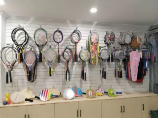 Shenyang Dawnstar Import and Export Trading Co., Ltd. Table Tennis Rackets
