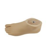 Premium Lateral Foot for Advanced Artificial Foot Comfort and Stability