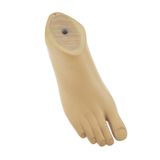 Ergonomic Ankle Prosthesis Medical Foot for Exceptional Patient Comfort