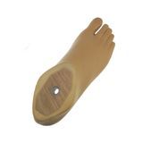 Innovative Foot Prosthesis Sach Foot for Reliable Orthopedic Knee Joint Support