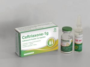 Ceftriaxone Sodium Powder for Injection GMP Inspected Factory-1g