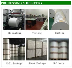 Shouguang Sunrise Industry Co., Ltd. factory image 4