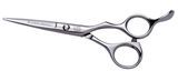 Hair Scissors (TD-AA550)