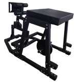 Gym Equipment GHD+Reverse Hyper