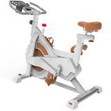 SD-S77 Factory Direct Sale Home Fitness Lose Weight Equipment 6kg Fiywheel Smart Spinning Bike
