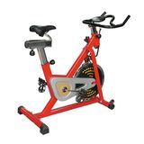 Exercise Bike (EX3013)