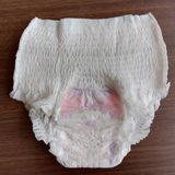 Sanitary Pant Napkins