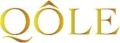 Company icon