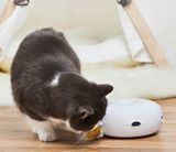 Homerun Smart Interactive Pop-up Pet Toy Cat Teaser