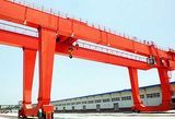 Custom Your Gantry Crane with Special Specification