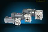 Worm Reducer Motor (RV)