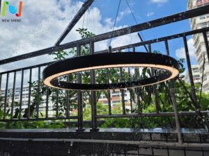 3FT IP65 Ceiling Light Rings Modern LED Ceiling Light Outdoor
