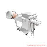 Dental Teaching Simulator Medical Simulation