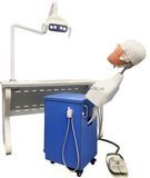 Dental Tools Dental Head Model