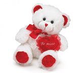 Plush and Stuffed Valentine Teddy Bears Supplier