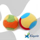 Promotional Printed Juggling Ball