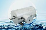 Stainless Steel AC Induction Electric Motor IEC European Standard