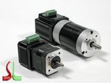 DC Brushless Motors with Integrated Drive (MTxxBLxx)