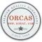 Company icon